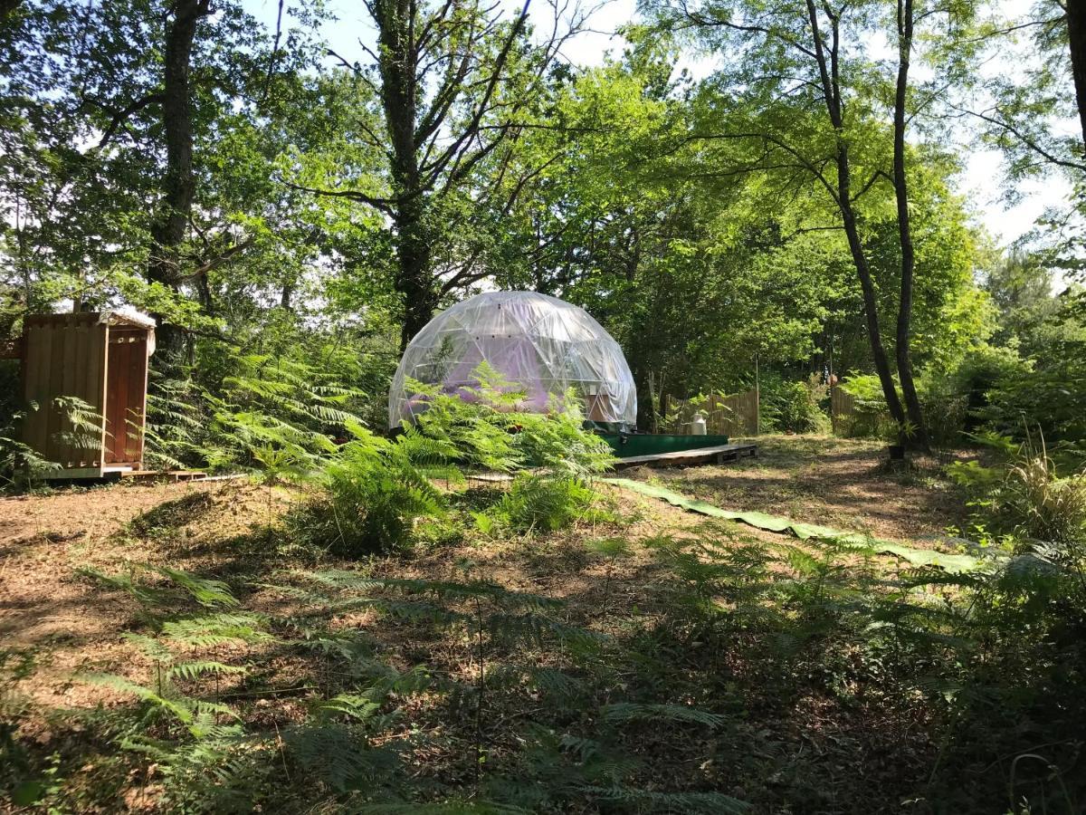Bulle Etoilee En Nature Landaise Saint-Sever  Экстерьер фото